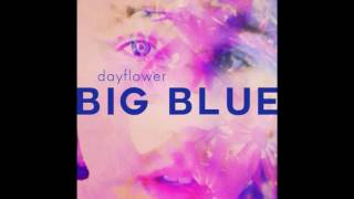 Video thumbnail of "Dayflower - Big Blue"