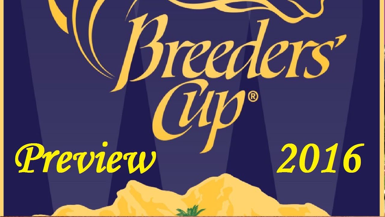 2016 Breeders Cup Preview YouTube
