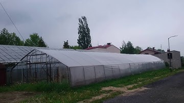 polytunnel wind 6