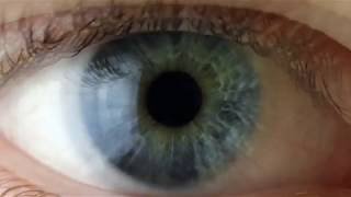 OLLI protection code screenshot 5