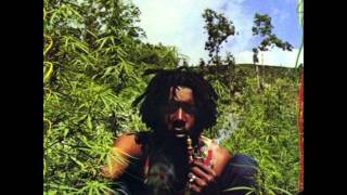 Peter Tosh - Brand new second hand