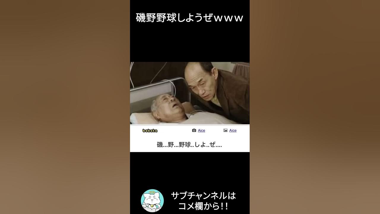 ネコガミ 磯野 野球しようぜｗｗｗ パート60 Youtube