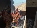 Roasted Whole Lamb-BBQ