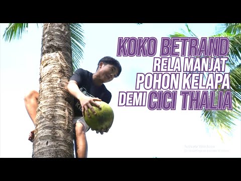 Cici Thalia Mau Kelapa, Koko Betrand Langsung Manjat Buat Ambil! | DIARY THE ONSU (10/6/20) P1