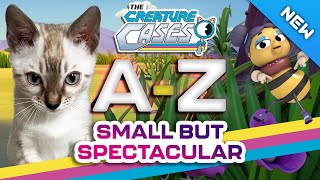 The Creature Cases - 🐝 These Animals Are Super Cute and Spectacular! 🐿️ | ABCs Animal Alphabet