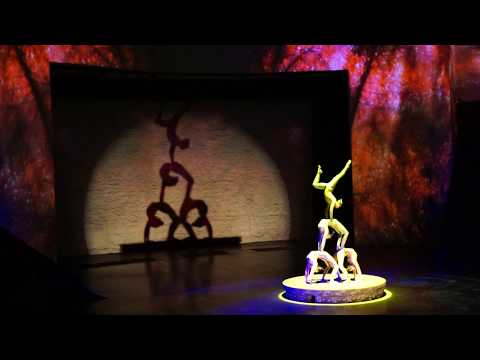 Китайский цирк. Часть 1. / Chinese circus. Рart 1.