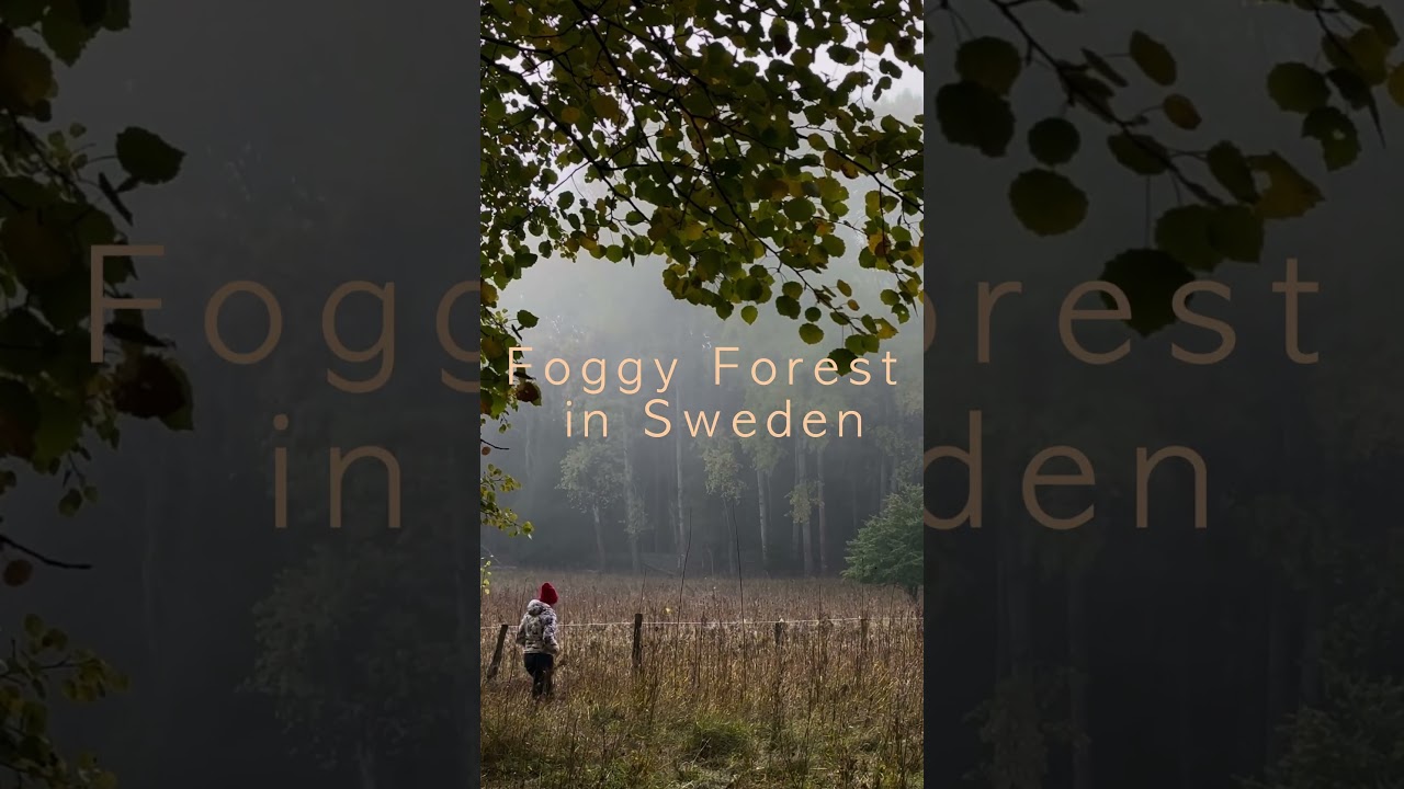 Ever seen the fog moving? 