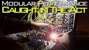 Modular Performance ::~:: Caught in the Act (Verbos, Mutable Instruments, Make Noise)