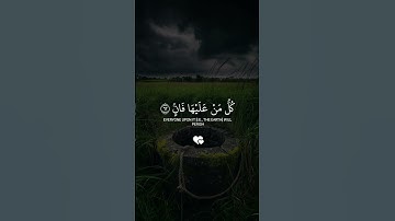 القرآن الكريم #حالات_واتس #لايك #اكسبلور