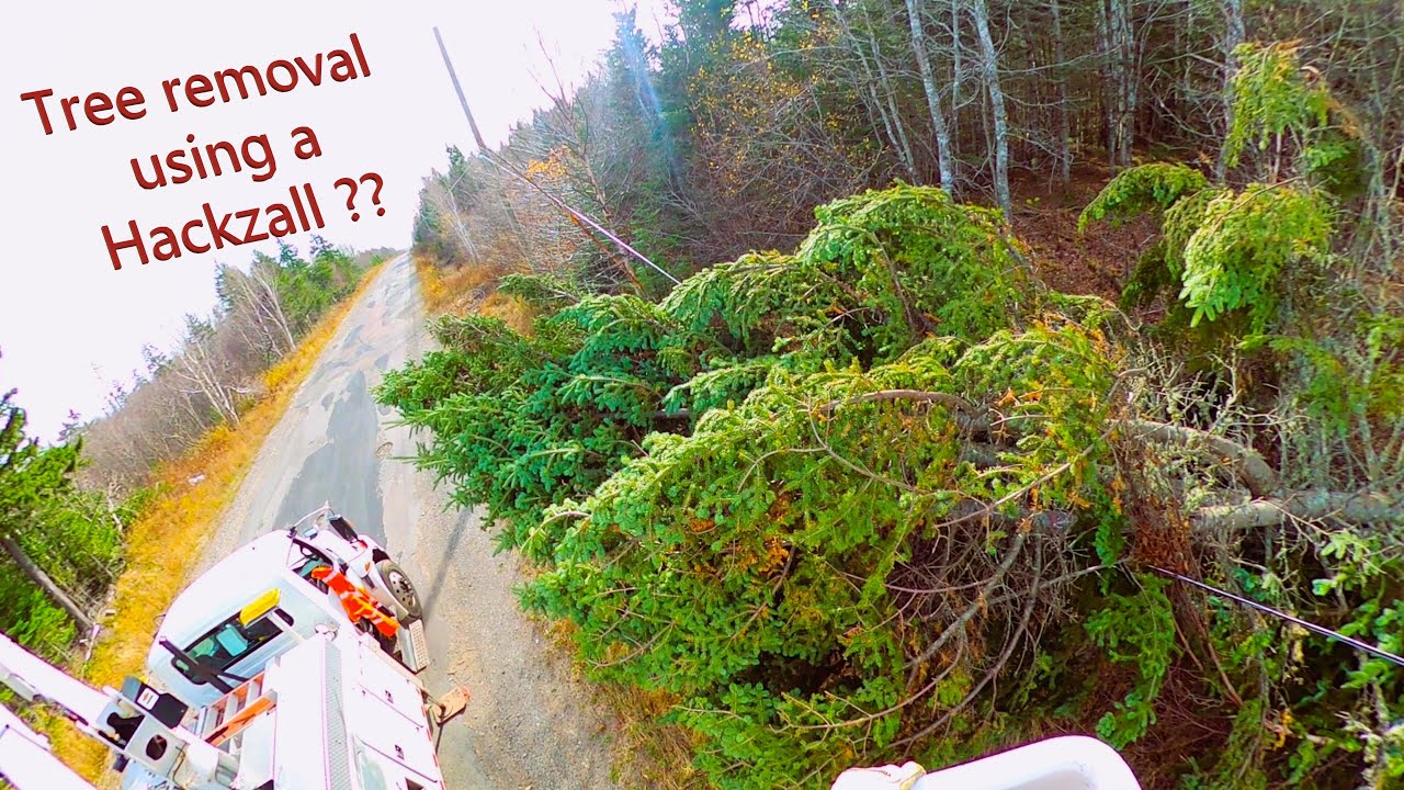 High tension tree removal - Go pro