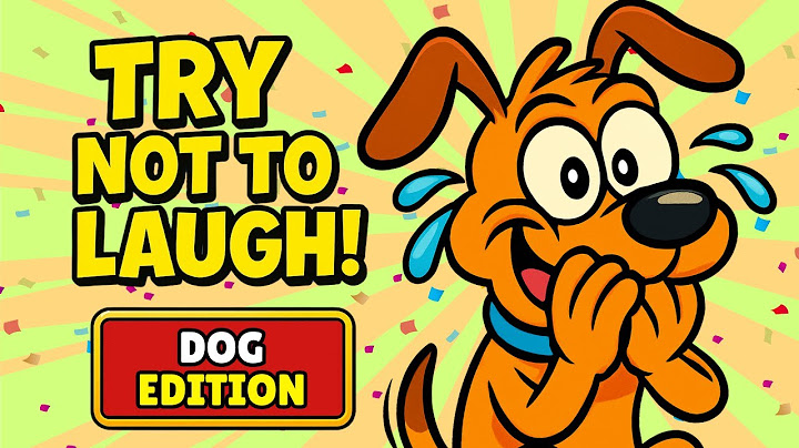 Try Not to Laugh Challenge (DOG EDITION) Laugh and You Lose!