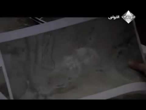 وادي الذئاب الجزء الرابع الحلقة 16 مدبلجة للعربية 