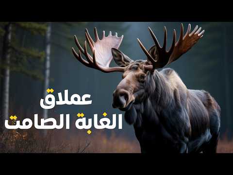 الأيل الكائن الذي نجا من العصر الجليدي وما زال يهيمن حتى اليوم