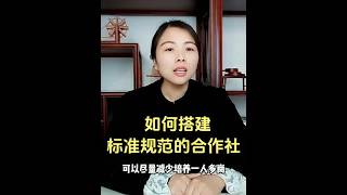 如何搭建标准规范的合作社 #农业发展方向  #乡村振兴  #土地托管  #土地入股  #合作社