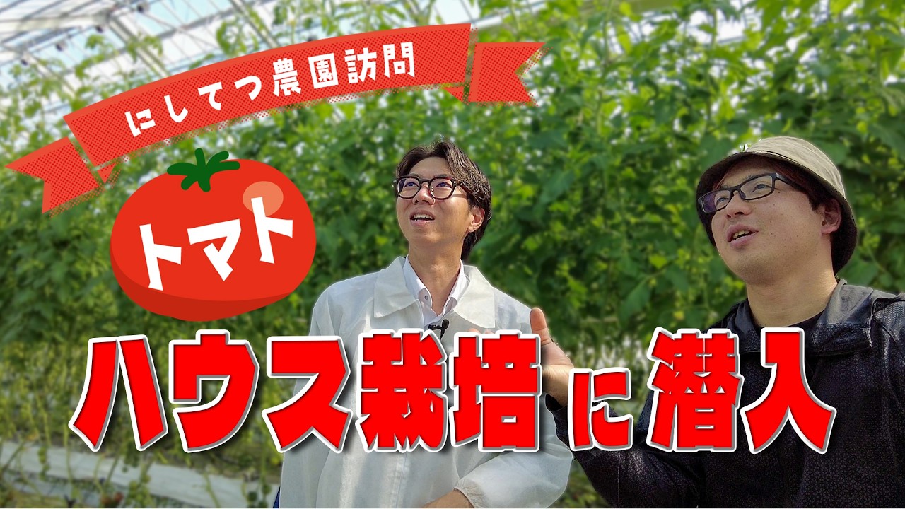 【にしてつ農園訪問】ハイテク設備を活用したトマトのハウス【vol.01】