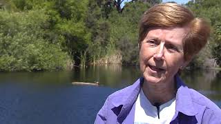 CHNEP Citizens Academy: Power of Citizens