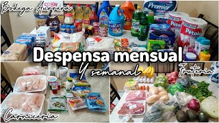 🛒Despensa mensual en Bodega Aurrerá 💵+Compra semanal 🍅🥩🧀🍤//