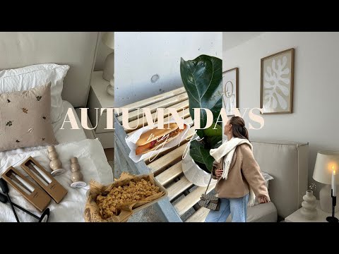 Continue furnishing the apartment, decorating for autumn, testing new recipes, shopping at Ikea |...