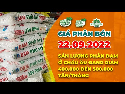 Video Giá phân bón hôm nay ngày 22/09/2022: Sản lượng phân... - youtube