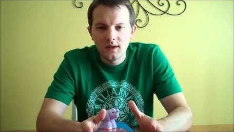 Video Book Review: Switch: How to Change Things When Change is Hard