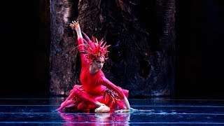American Ballet Theatre with the St. Louis Symphony present 'Firebird'
