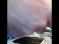 Josh Kelley & kids - Homemade Sushi (VLOG)