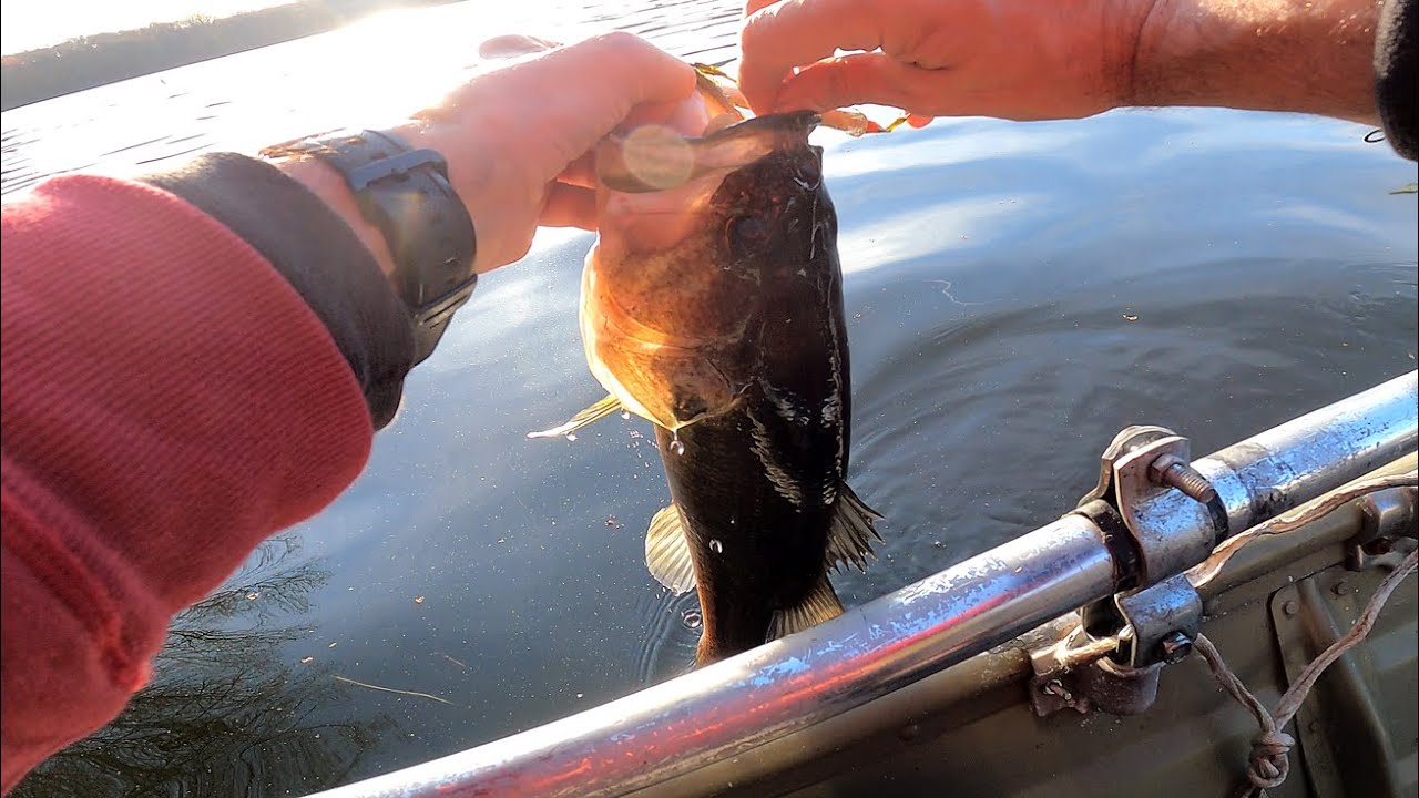 Day Full Fishing Chores – BIG MOUTH BASS & PICKEREL – Wind, Wood, & Beers