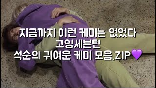 [세븐틴/호시/도겸] 부승관의 전생연분 속 석순 모음🐰🐯