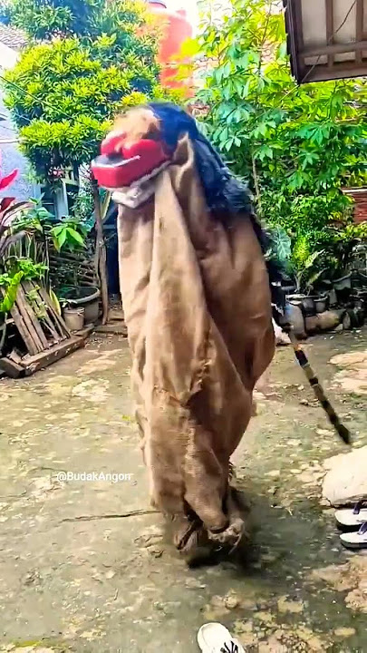 ARAFKA BELAJAR MAIN BARONG #shrots #shorts #subscribe #sub #support #barongan #reak