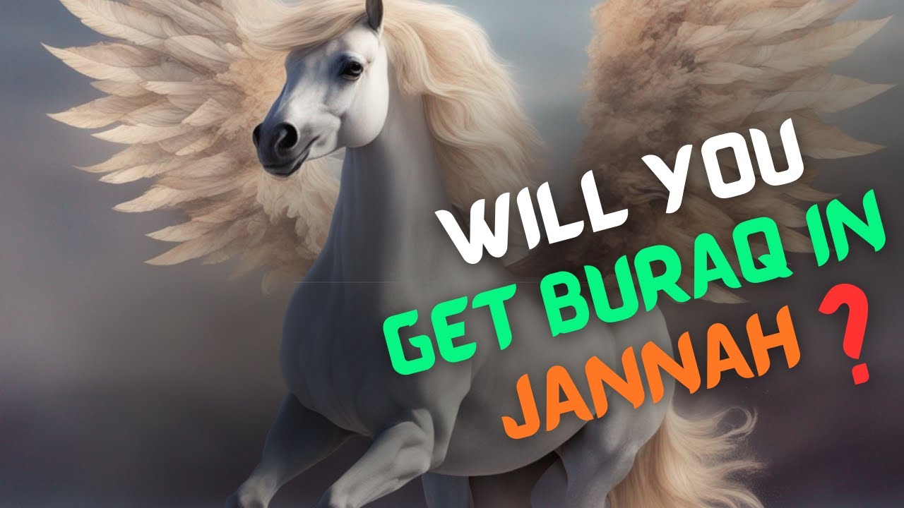 What Kind Of Animals You Will Have In Jannah Can You Have Pets In Jannah Pets In Islam YouTube