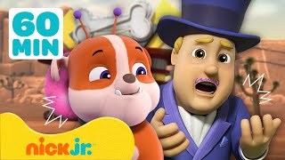 видео: Щенячий патруль | САМЫЕ ГЛУПЫЕ моменты с Крепышом и Маршаллом!  😄 | 60-минутная подборка | Nick Jr. картинка: Щенячий патруль | САМЫЕ ГЛУПЫЕ моменты с Крепышом и Маршаллом!  😄 | 60-минутная подборка | Nick Jr.