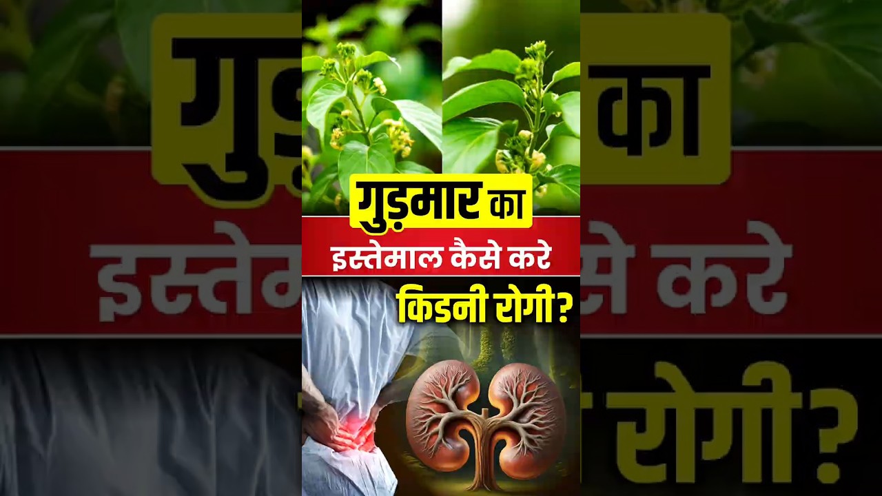 🌿🍃 गुड़मार का इस्तेमाल कैसे करें किडनी रोगी❓| Kidney Treatment in Ayurveda | 
