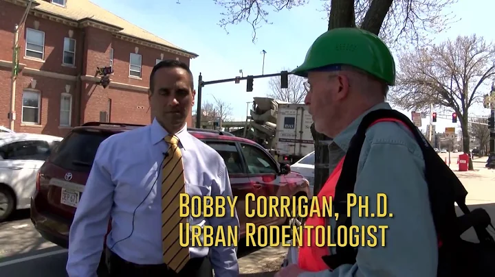 Union Sq. with Urban Rodentologist Dr. Corrigan an...