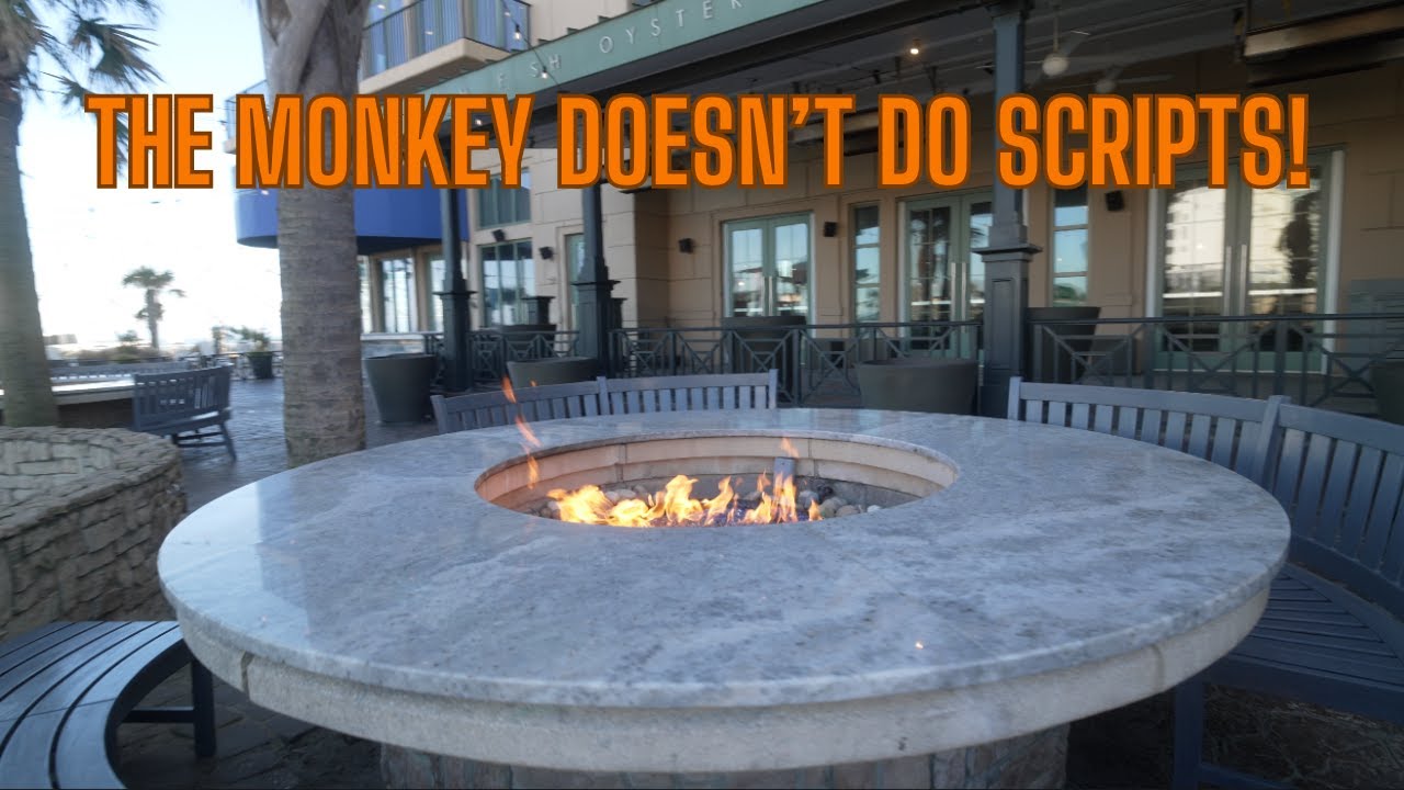 The Monkey Doesn't Do Scripts! - YouTube