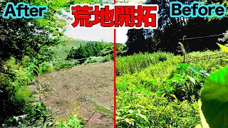 【山復興】ついに釣りよか農園が！？広大な農地を開拓する！！