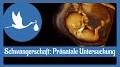 Gynaekologikum - Frauenärzte / Pränataldiagnostik from www.youtube.com