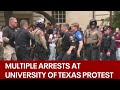 University of texas palestine protest leads to 20 arrests including fox 7 photographer  fox 7 aus