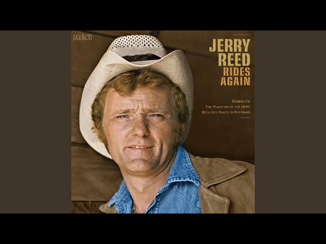 Jerry Reed - I'm Just A Redneck In A Rock And Roll Bar
