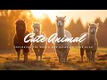  energetic alpaca vibes uplifting tunes and adorable alpacas  delightful beats
