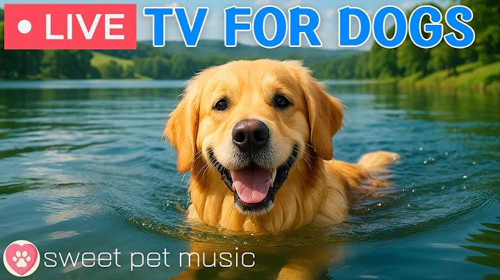 🔴24 Hours of Dog TV - Deep Relaxation Music for Dogs🎵🐶Dog Calming Music💖Dog Stress Relief Music