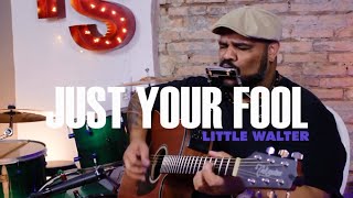 Just Your Fool  Douglas Eurico little Walter