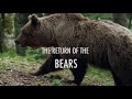 The Return of the Bears - Trailer - MIPCOM