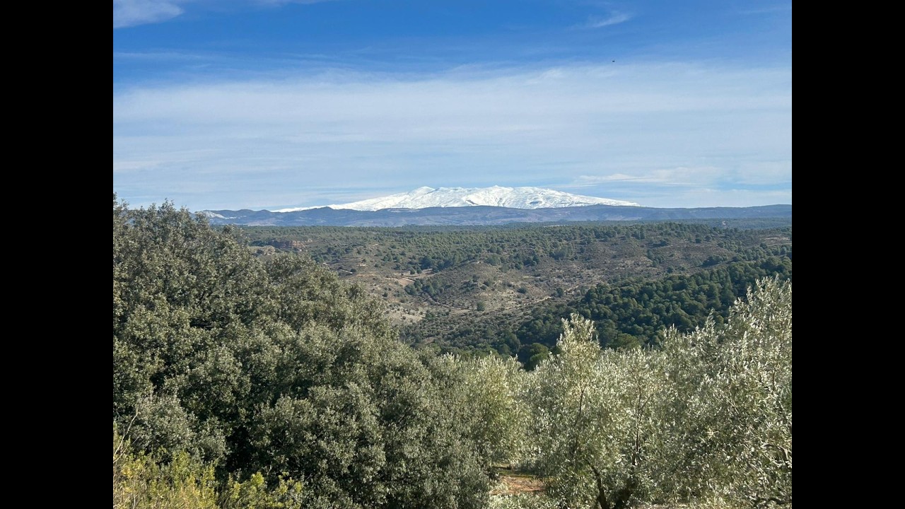 De Arenas del Rey a Fornes (Granada)