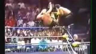 Sting - 28 Dropkicks