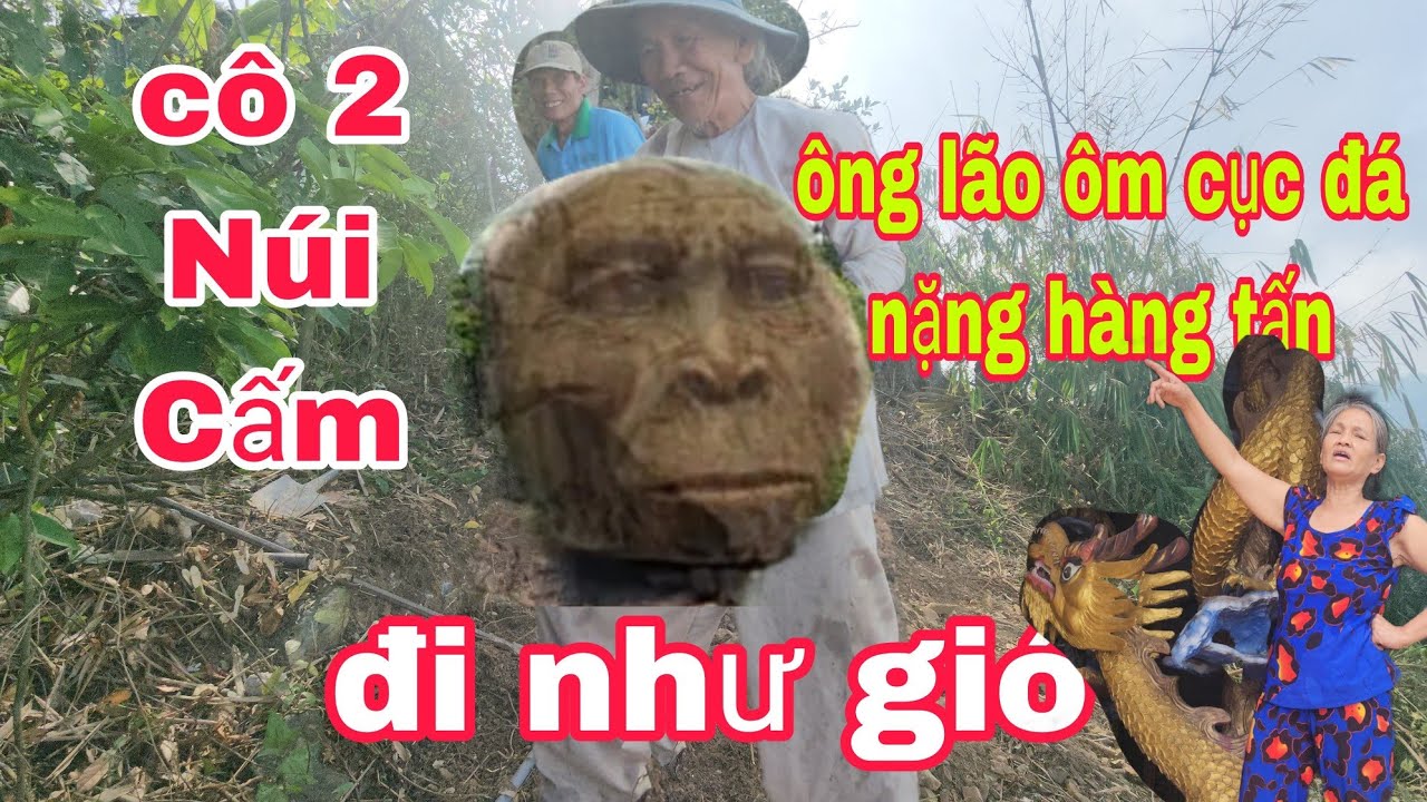 BẤT NGỜ CÔ 2 Núi CẤM, TIẾT LỘ, ÔNG LÃO 68 ÔM CỤC ĐÁ NẶNG,1 tấn mấy đi như gió # hotientv,