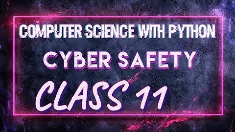 Computer Science With Python class 11 Chapter 11 Cyber Safety part 1