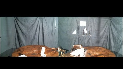 Patrick Byrne Live Stream