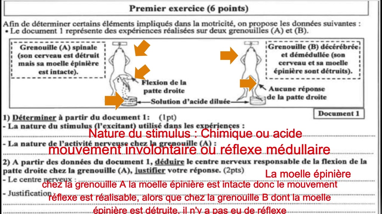 3AC - (Correction) Examen régional Rabat - Salé - Kénitra 2021 SVT