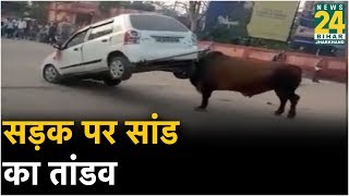 Bihar: भड़के सांड के सामने लाखो की कार बनी खिलौना, देखिए पूरा वीडियो screenshot 5