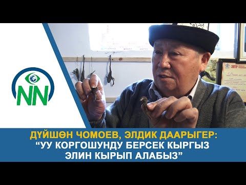 Video: Бөтөлкөдөгү кайыкты кантип жасаса болот